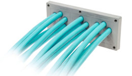 Cable glands without connectors